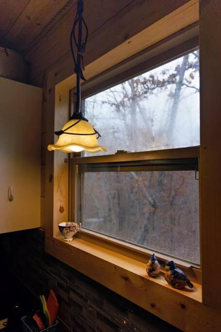 Hideaway Cabin Near Mammoth Springs, Ark Εξωτερικό φωτογραφία